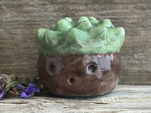 a roundish raku scuplture glazed in warm brown with green for the chestnut spikes on the top of its head. (they're not sharp at all!). it has a cute, open, friendly face.
