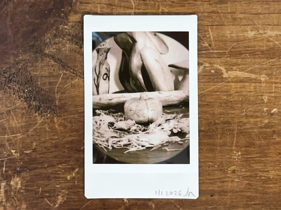 an instax mini print in a muted sepia of a raku ceramic pumpkin nature spirit sculpture. it looks very happy. it's sitting on a piece of wood, and there are dried flowers all around it. behind it are a large stick, a wooden mushroom, a wooden hare, and a small vase painted with plant and flower designs.