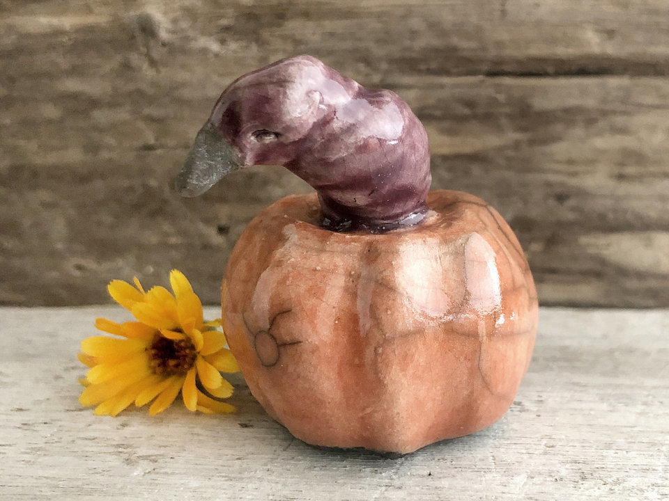 Raku ceramic pumpkin glazed in warm orange. Instead of a stem, it has a purple creature with a black beak poking out of it. The creature seems quite friendly.