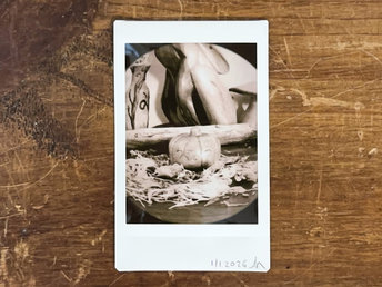 an instax mini print in a muted sepia of a raku ceramic pumpkin nature spirit sculpture. it looks very happy. it's sitting on a piece of wood, and there are dried flowers all around it. behind it are a large stick, a wooden mushroom, a wooden hare, and a small vase painted with plant and flower designs.